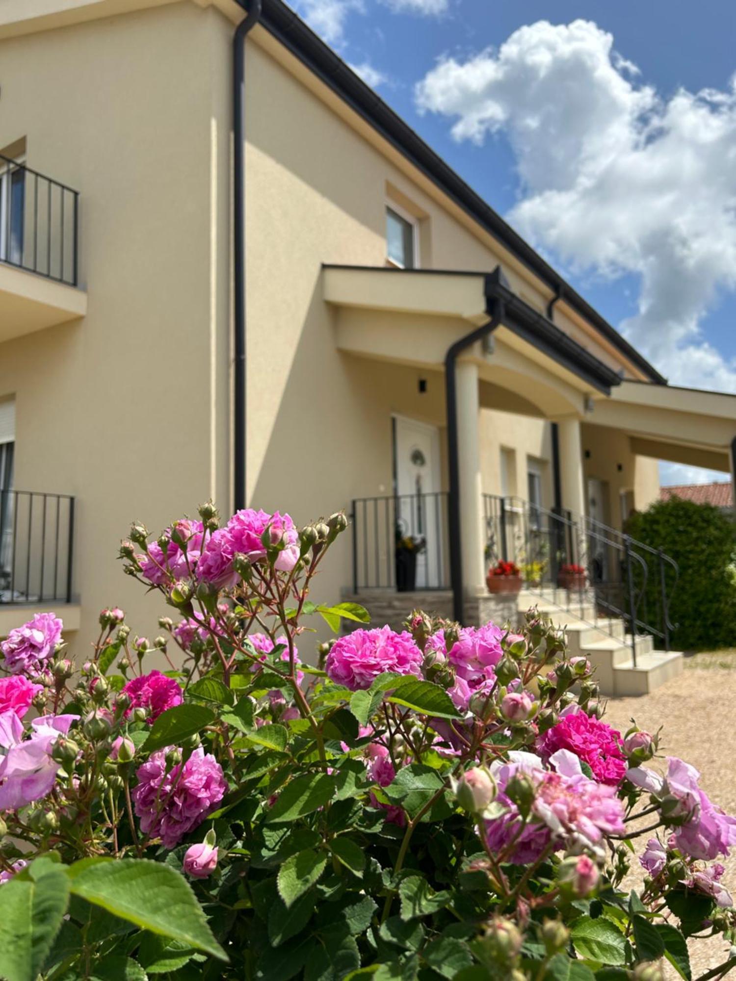 Apartman Marija Medjugorje Exterior foto